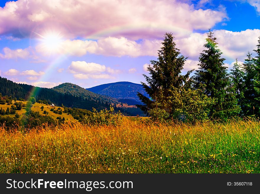 Meadow with in high mountains by the forest. Meadow with in high mountains by the forest