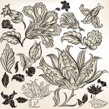 Collection Of Floral Hand Drawn Swirls For Design Stock Image Collection Of Floral Hand Drawn Swirls For Design Stock Image