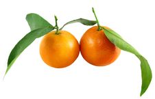 Bright Tangerines Royalty Free Stock Photography Bright Tangerines Royalty Free Stock Photography