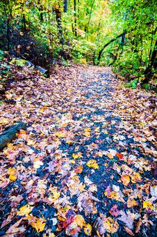 Autumn Country Road Stock Photos Autumn Country Road Stock Photos