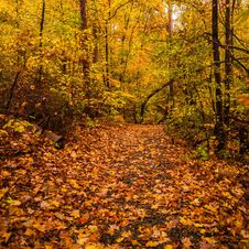 Autumn Country Road Stock Photography Autumn Country Road Stock Photography