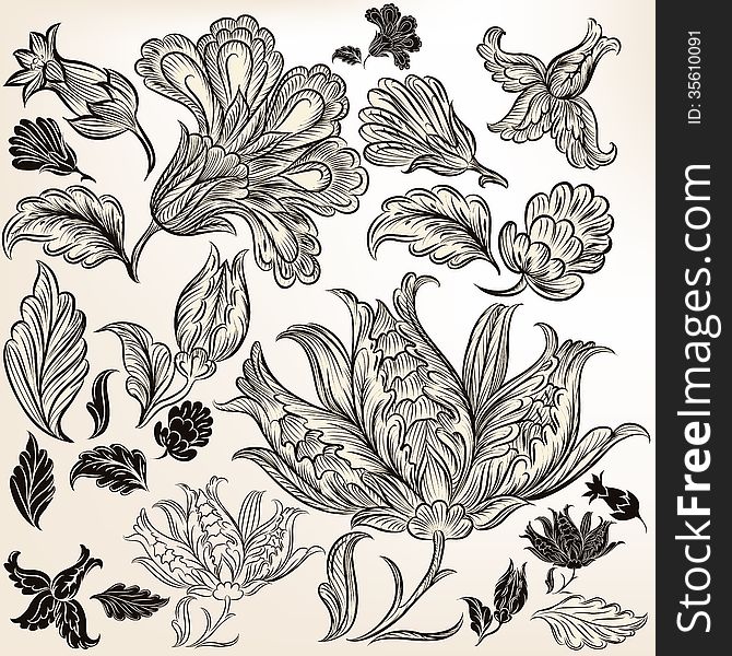 Collection of floral hand drawn swirls for design
