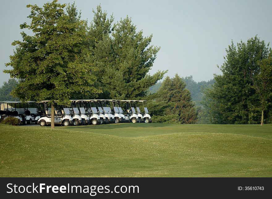 Golf Carts lined up and ready to face the day. Golf Carts lined up and ready to face the day