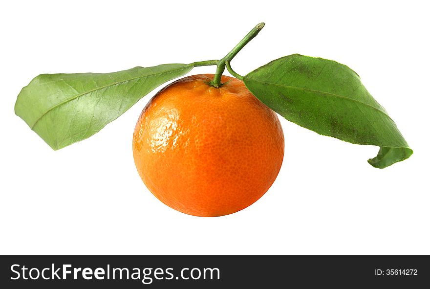 Beautiful tangerines with leaves on a white background. Beautiful tangerines with leaves on a white background