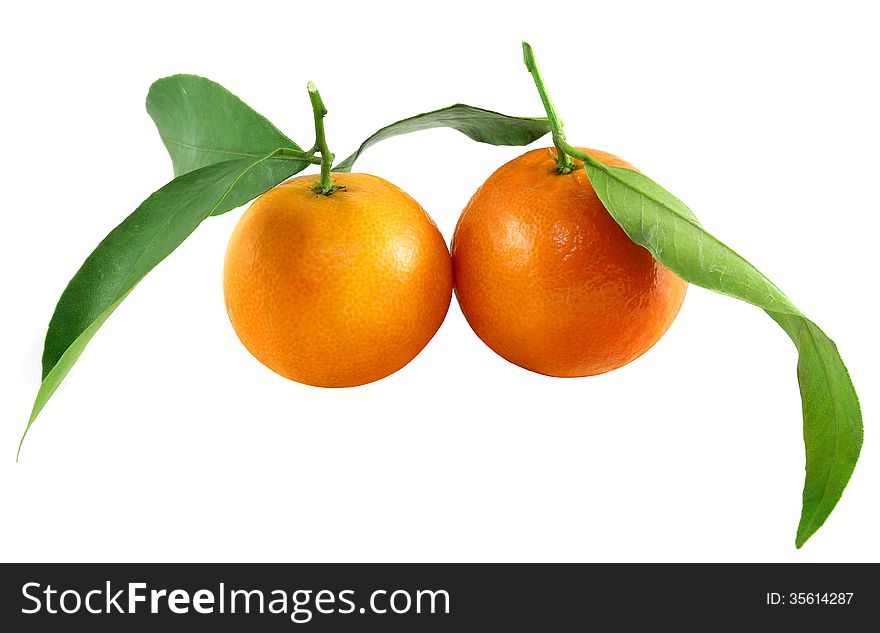 Bright tangerines