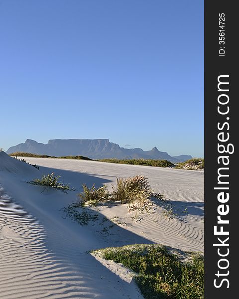 Landscape with sand dune and Table Mountain