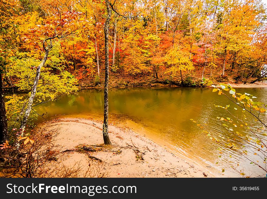 Autumn season at a lake wylie north carolina