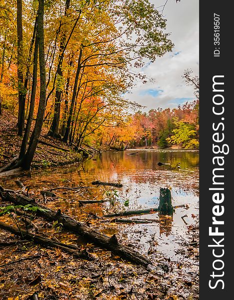 Autumn season at a lake