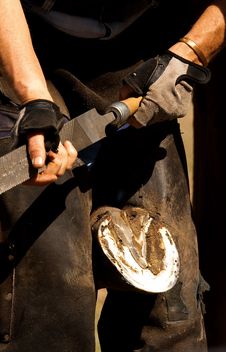 Farrier Filing Hoof Royalty Free Stock Photos Farrier Filing Hoof Royalty Free Stock Photos