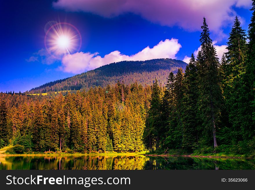 Pine forest and lake near the mountain