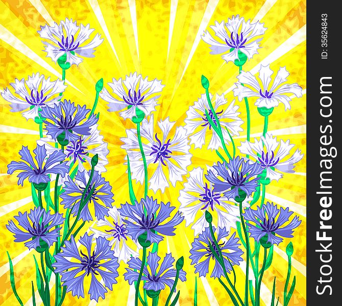 Vector background with blue cornflowers