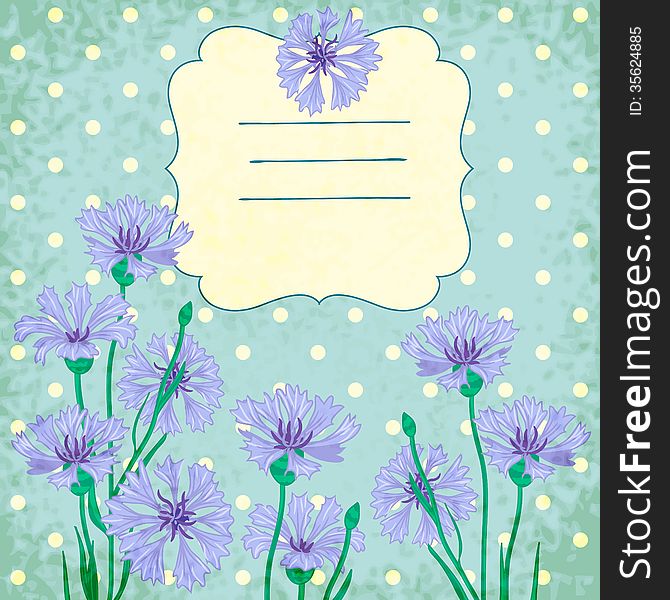 Vignette background with blue cornflowers. Vignette background with blue cornflowers