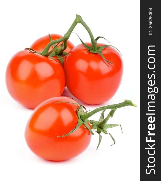 Fresh Ripe Tomatoes with Stems and Twigs isolated on white background