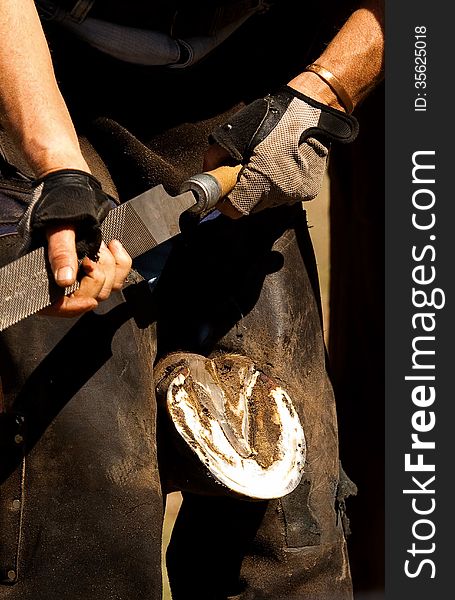 A farrier files a horse's hoof on an equestrian farm in South Africa. A farrier files a horse's hoof on an equestrian farm in South Africa.