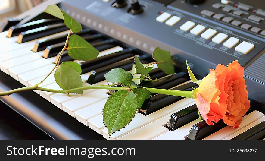 Rose lying on a synthesizer. Rose lying on a synthesizer