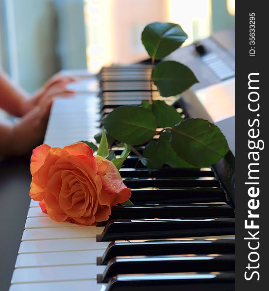 Rose On The Keys