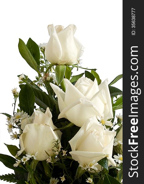 Bouquet of ivory roses on white