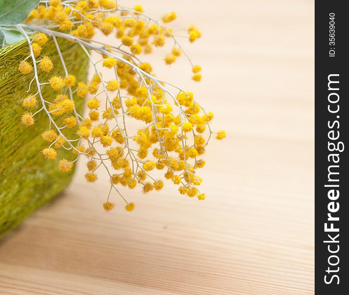 Closeup Of Mimosa In Green Straw Box