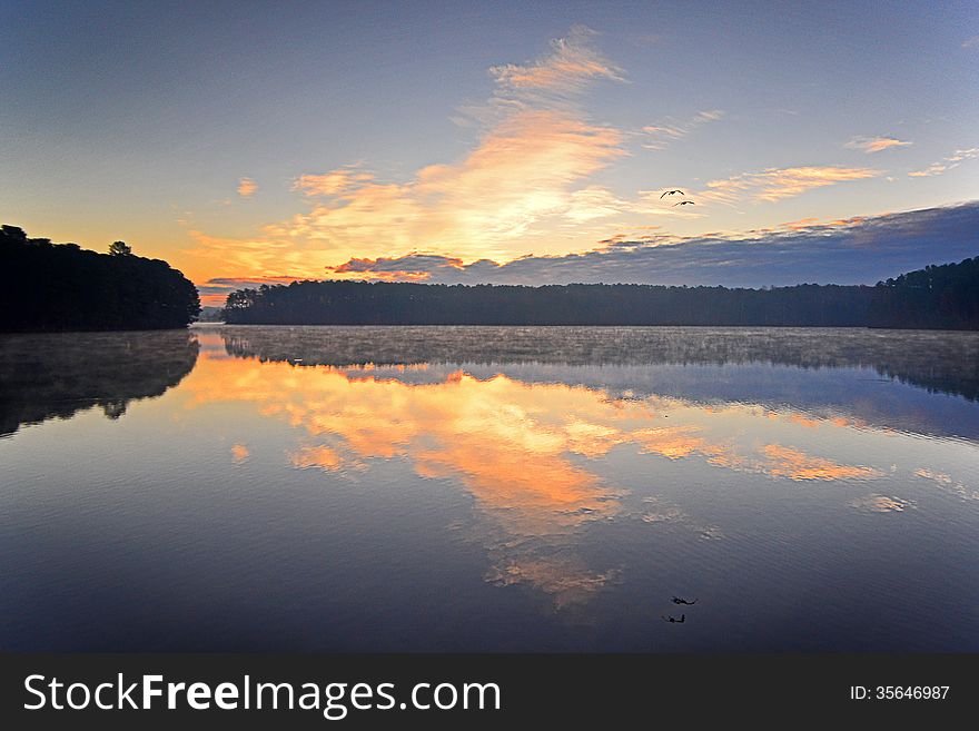 Geese take flight over calm water at sunrise. Geese take flight over calm water at sunrise