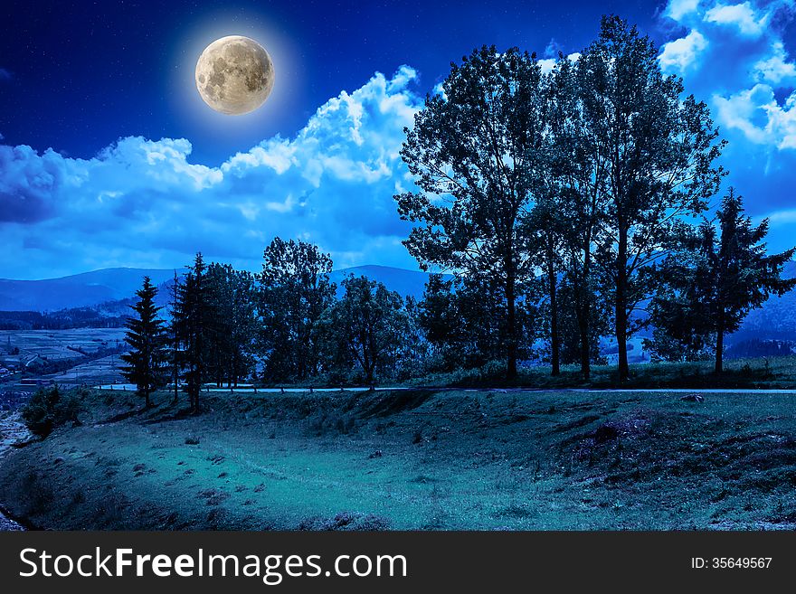 Mountain road near the coniferous forest with cloudy morning sky