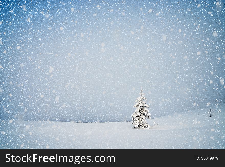 Winter landscape with snow-covered fir-tree in a lonely mountain valley. Christmas theme with snowfall. Winter landscape with snow-covered fir-tree in a lonely mountain valley. Christmas theme with snowfall