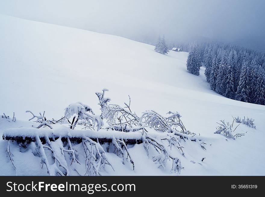 Cloudy landscape foggy day. Winter in the mountain valley. Carpathians, Ukraine, Europe. Cloudy landscape foggy day. Winter in the mountain valley. Carpathians, Ukraine, Europe