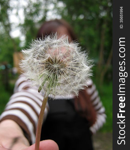 Girl with dandelion