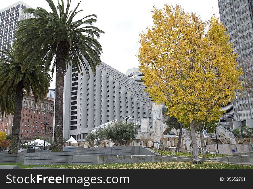 City of San Francisco, California USA.