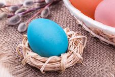 Easter Egg In Small Nest With Easter Basket And Willow Royalty Free Stock Images