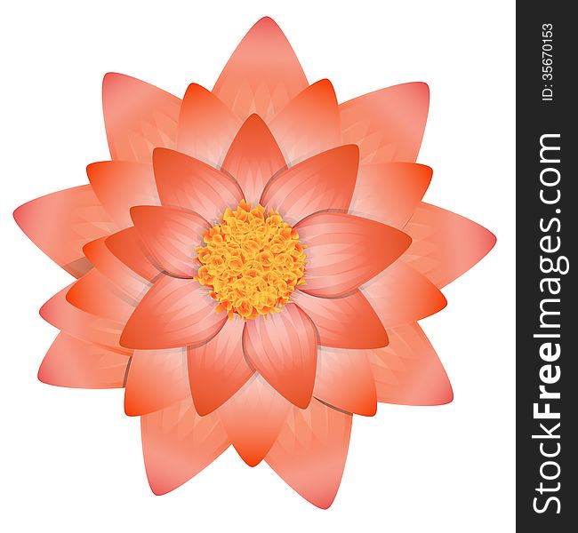 Flower abstract vector illustration isolated eps 10