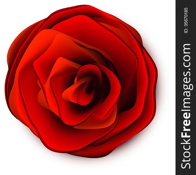 Rose abstract vector illustration th white background with shadow eps 10