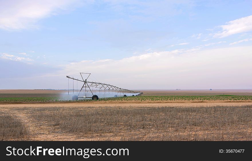 Watering Machine In Agriculture Summer