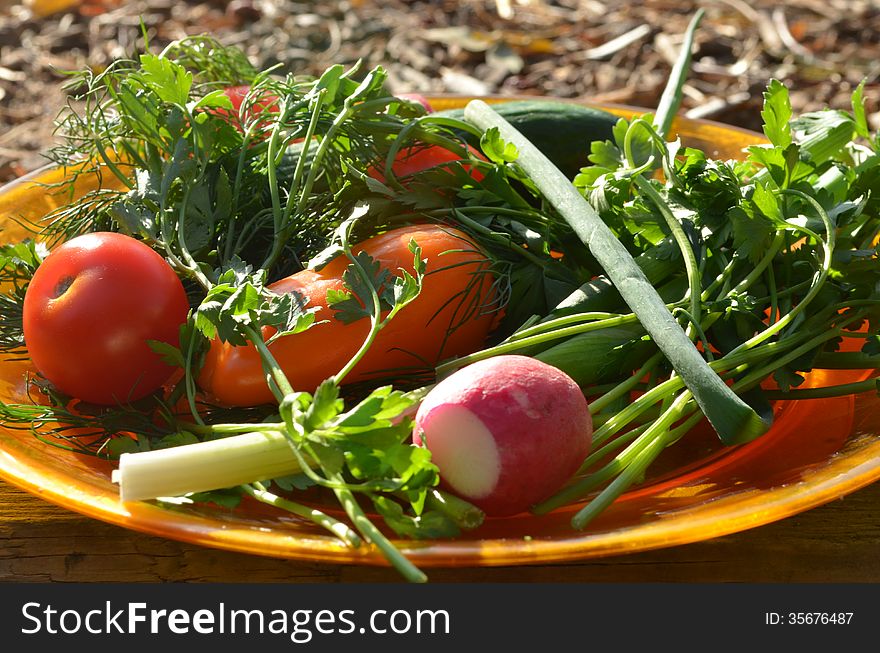 Plate Of Fresh Vegetables