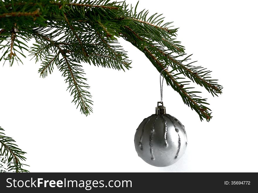 Fir Branch Isolated On White Background