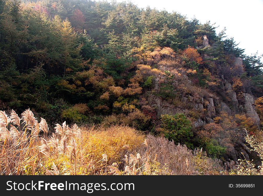 Laoshan mountains beautiful autumn scenery of Chin