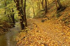 Autumn Path With Stream Royalty Free Stock Image Autumn Path With Stream Royalty Free Stock Image