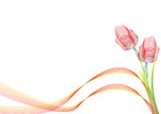 Tulip Flow Royalty Free Stock Photos Tulip Flow Royalty Free Stock Photos