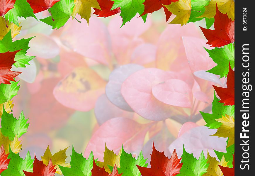 Nice Autumn Leaves frame, good for postcard, book covers etc.