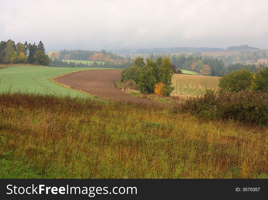 Autumn day. Fog on the field.