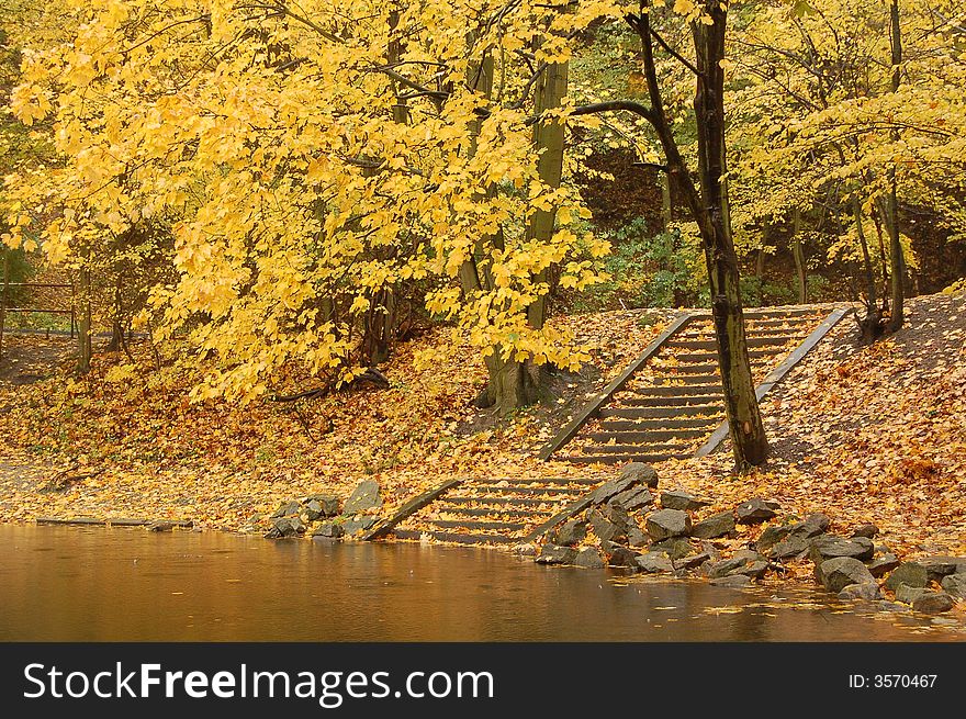 Stone stairway leading to the lake beneath yellow tree. Stone stairway leading to the lake beneath yellow tree