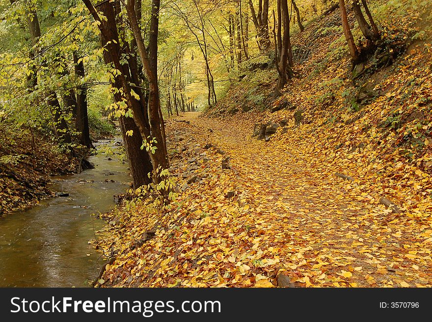 Autumn path covered with fallen leaves along the stream. Autumn path covered with fallen leaves along the stream