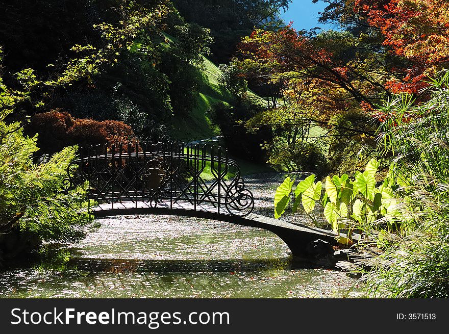 Beautiful garden lake, Como , Italy