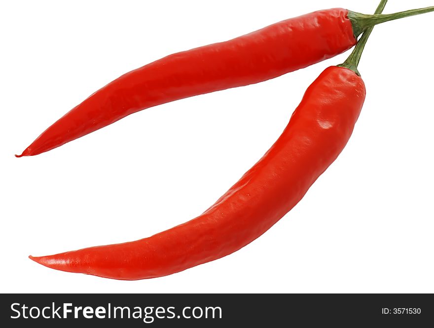 Two chili peppers on white background