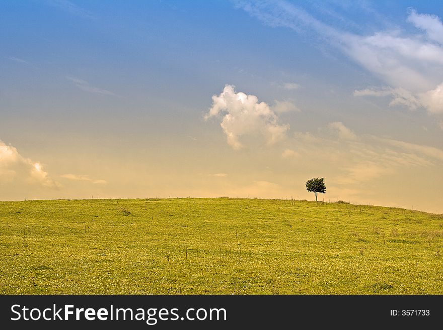 A typical countryside landscape in Tuscany, near Siena. A typical countryside landscape in Tuscany, near Siena