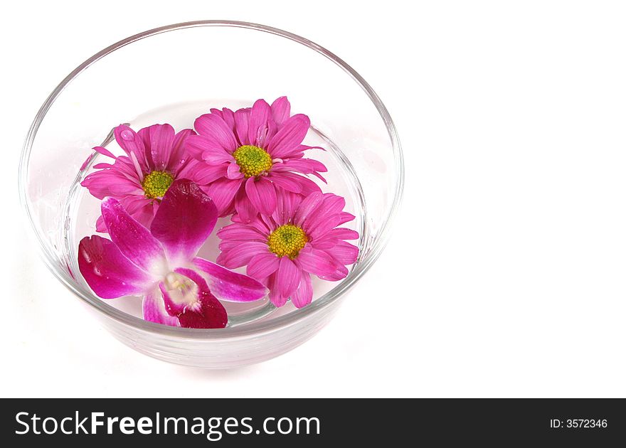 Bowl of pretty pink flowers floating in a bowl of water.