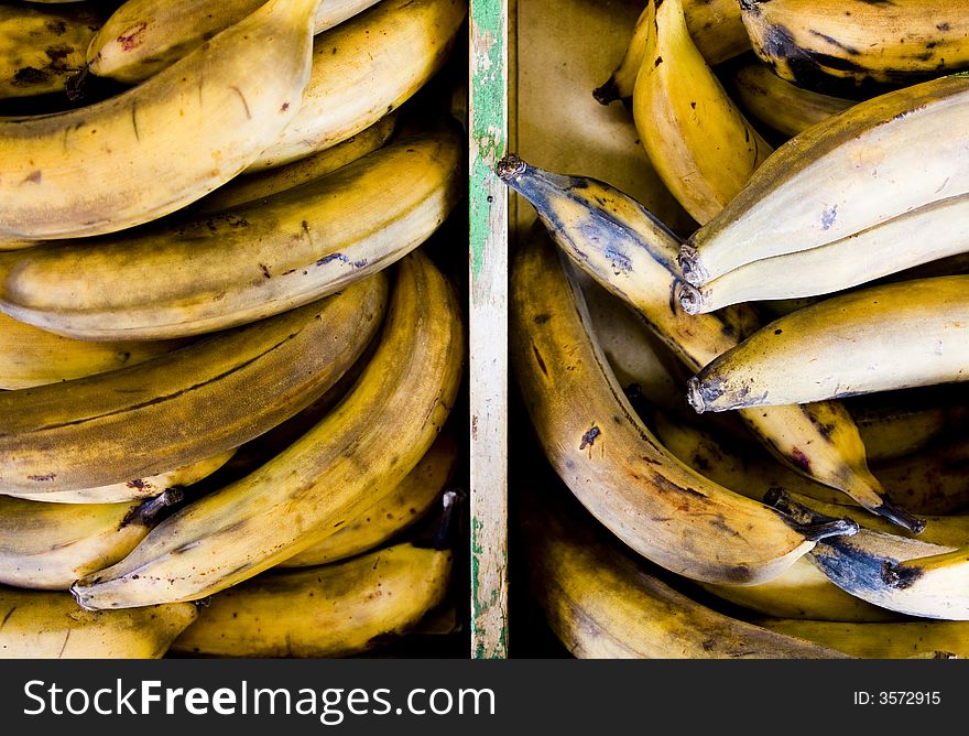 A group of rotten bananas