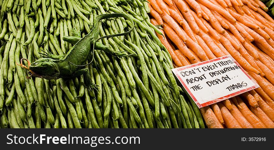 Iguana on display with vegetables