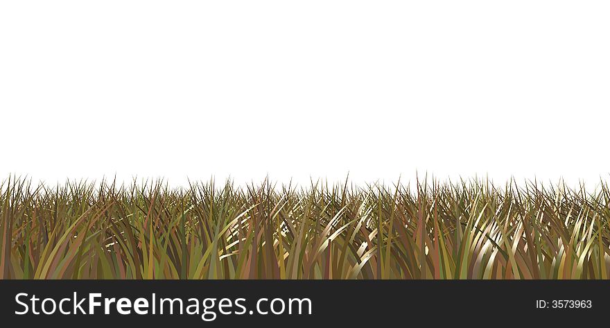 Wire grass on white background