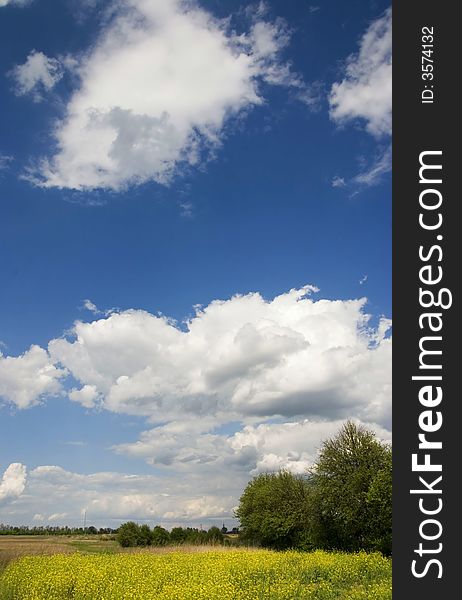 Summer landscape with the clouds. Summer landscape with the clouds