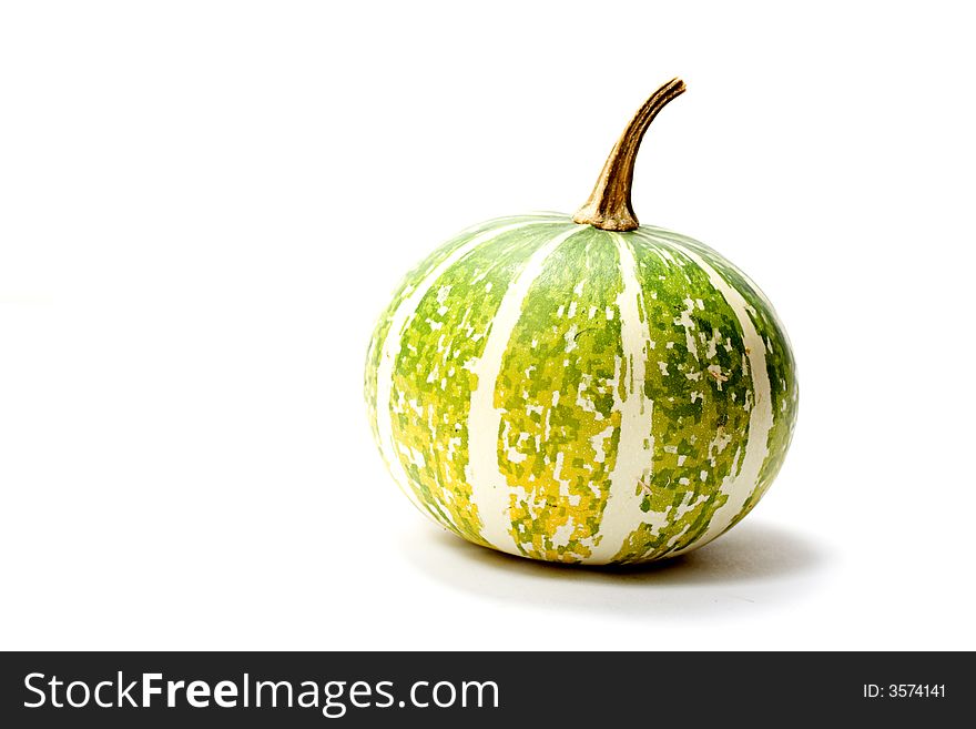 Pumpkin isolated closeup with reflection. Pumpkin isolated closeup with reflection